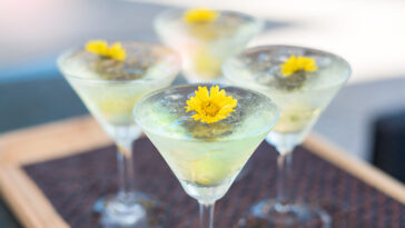 Chrysanthemum beverage.