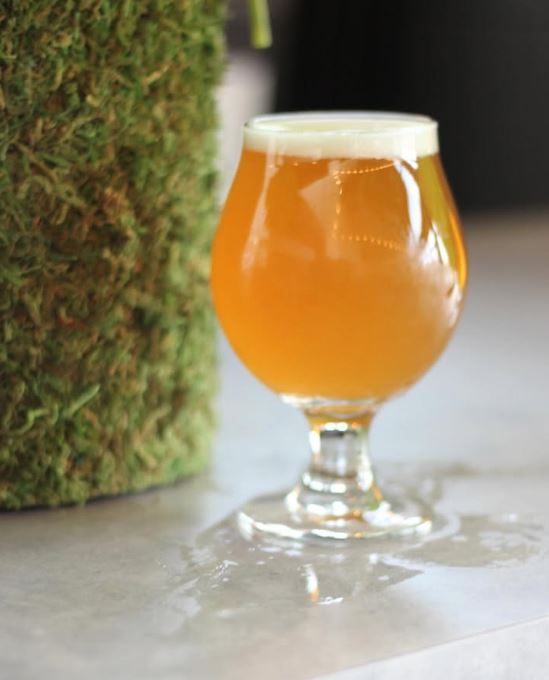 Noble Funk Brewing Company