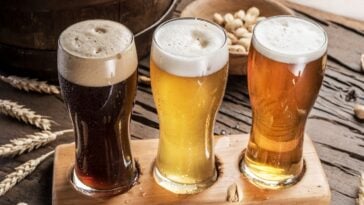 top 30 breweries in washington